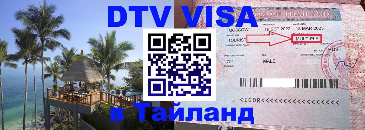 Оформление DTV визы под ключ: стоимость и тарифы, только загранпаспорт - Бердск  03.10.2025 